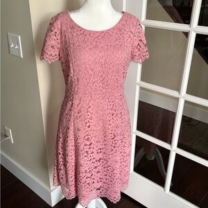 Talbots Pink Lace Fit and Flare Dress Short Sleeve Scoop Neck Midi